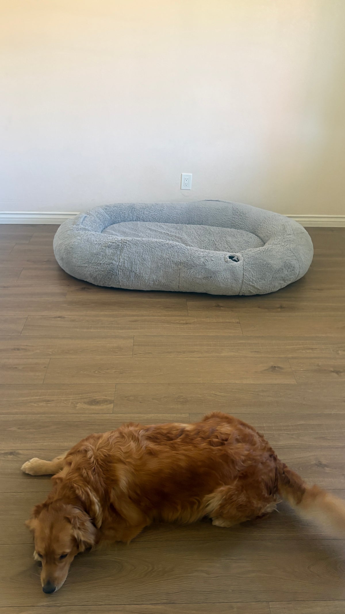 Oversized Human Dog Bed, Grey, Berenlefe Oversized Orthopedic Memory Foam Lounge Human Dog Bed with Faux Fur, Pillow, Blanket & Non-Slip Bottom, Light Gray, 70.9 x 45 x 11.8-in