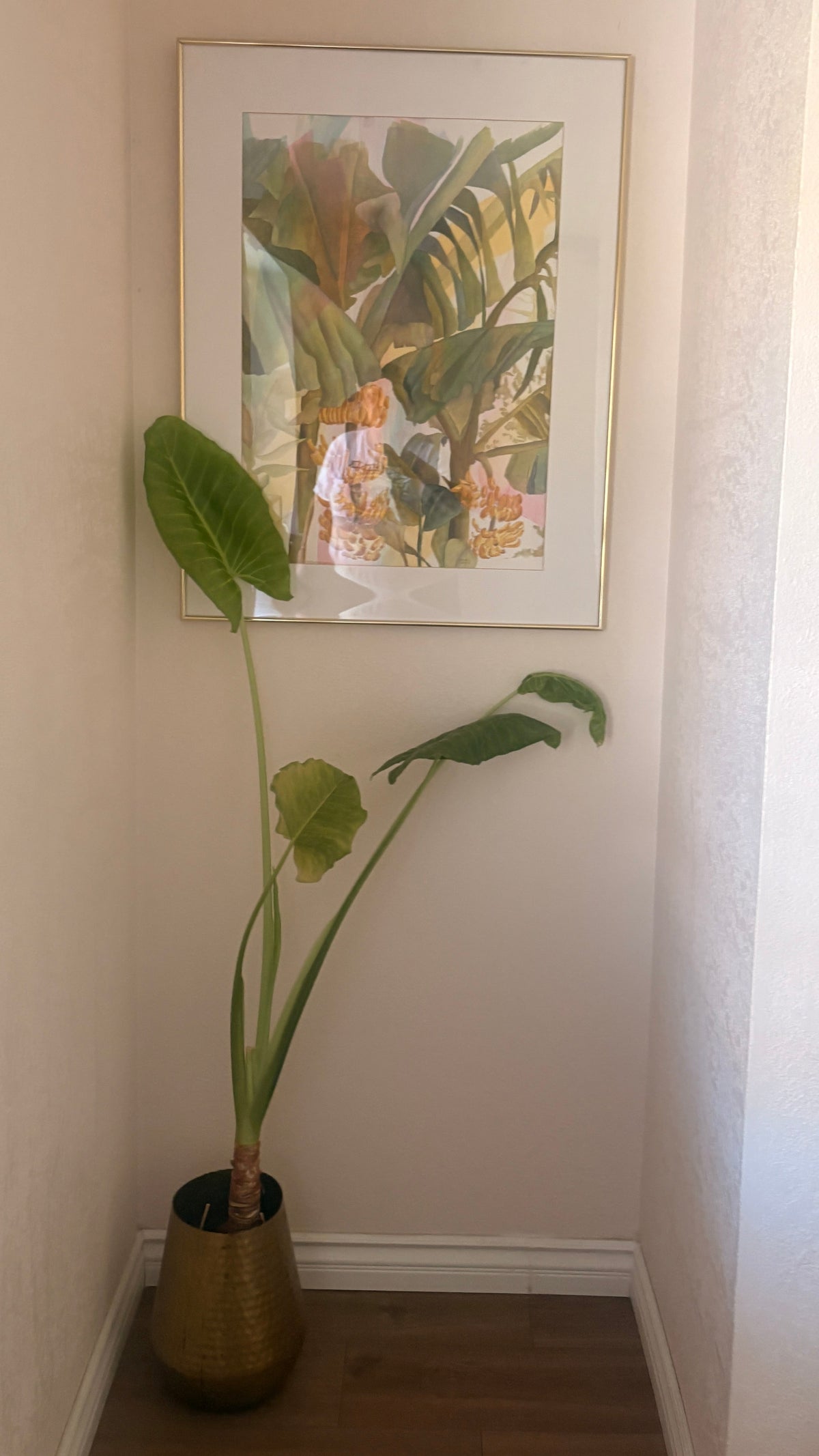 Dagmar Langon "Yellow Bananas" Original Watercolor Painting - Large Framed Tropical Botanical Art