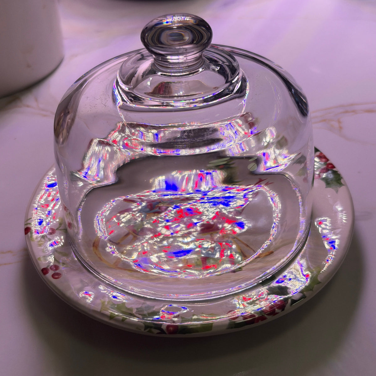 Vintage Pier 1 Winter Wonders Christmas Sleigh Ironstone Plate & Glass Cloche Dome Set