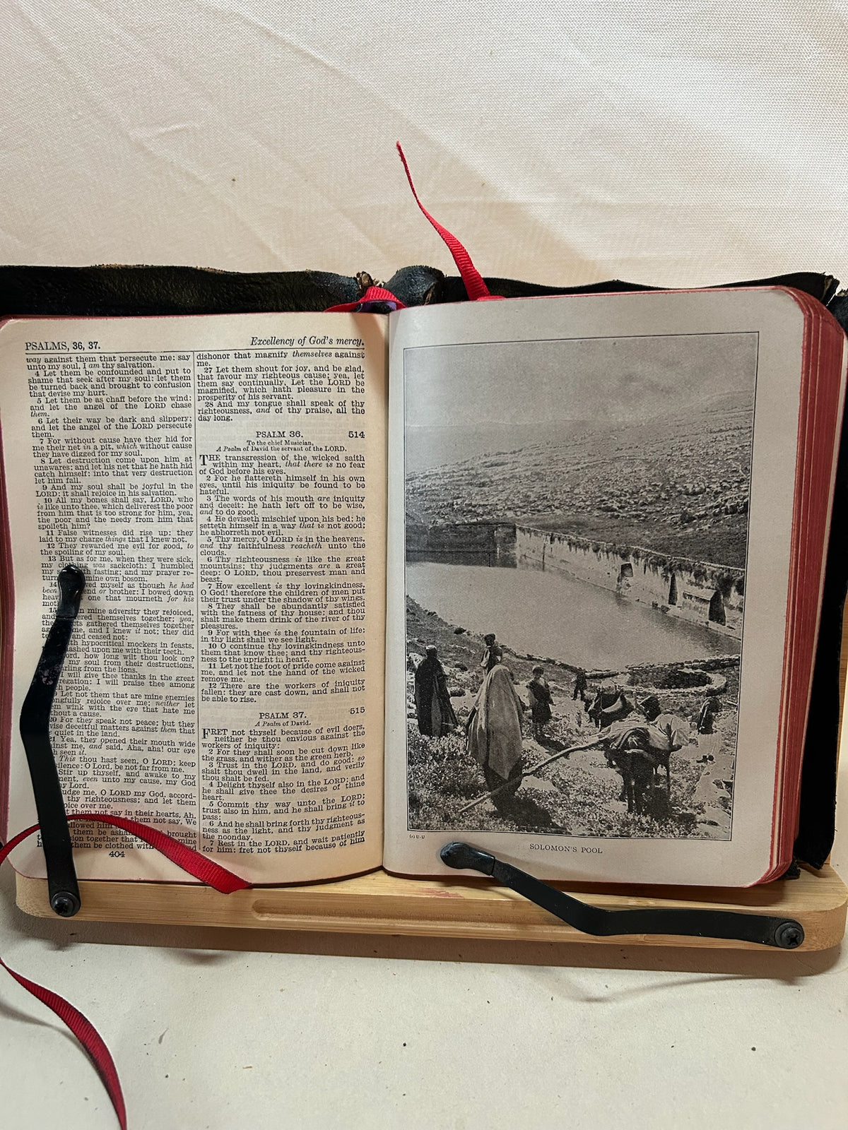 Rare Antique Holy Bible Illustrated Questions & Answers | Black Textured Hardcover with Red Ribbon Marker